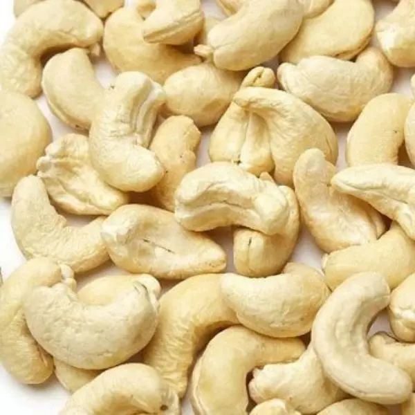 CASHEW NUT PLANT